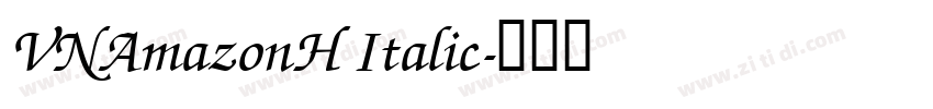 VNAmazonH Italic字体转换
